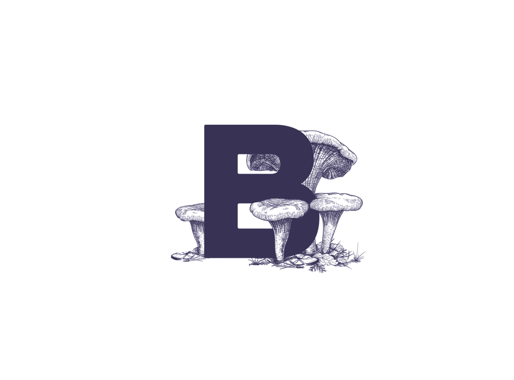 意大利Babbo Seasona餐廳品牌VI設計