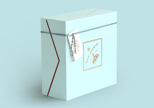 形象包裝設(shè)計(jì)的重要意義在現(xiàn)代企業(yè)發(fā)展中的體現(xiàn)