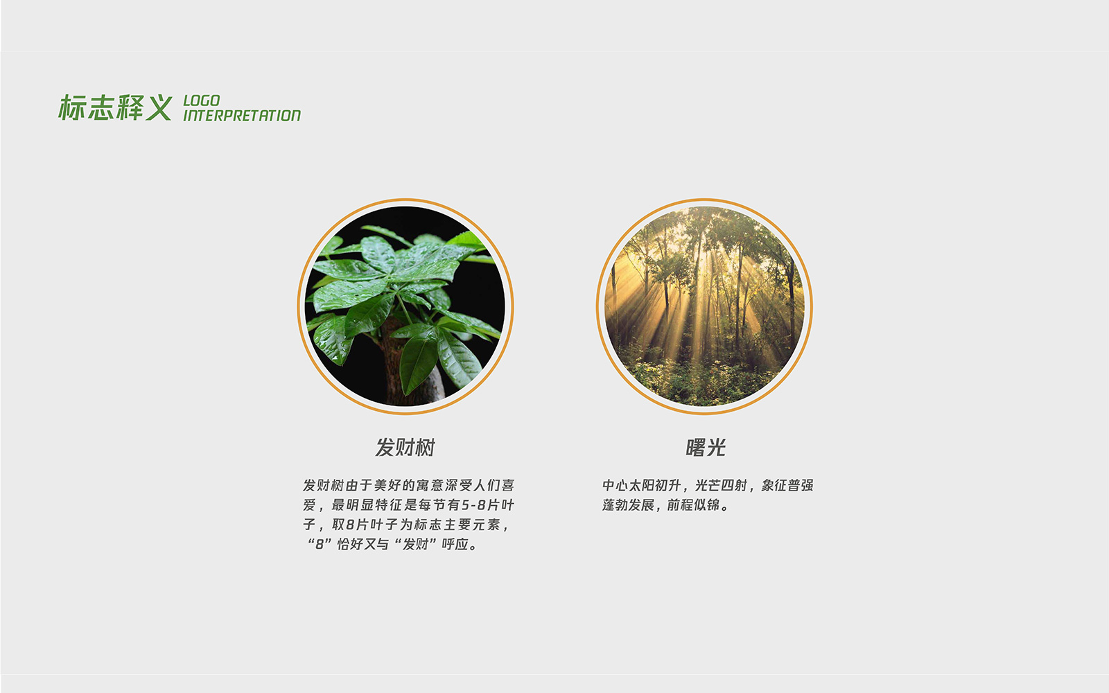 杭州VI設(shè)計公司越來越受歡迎