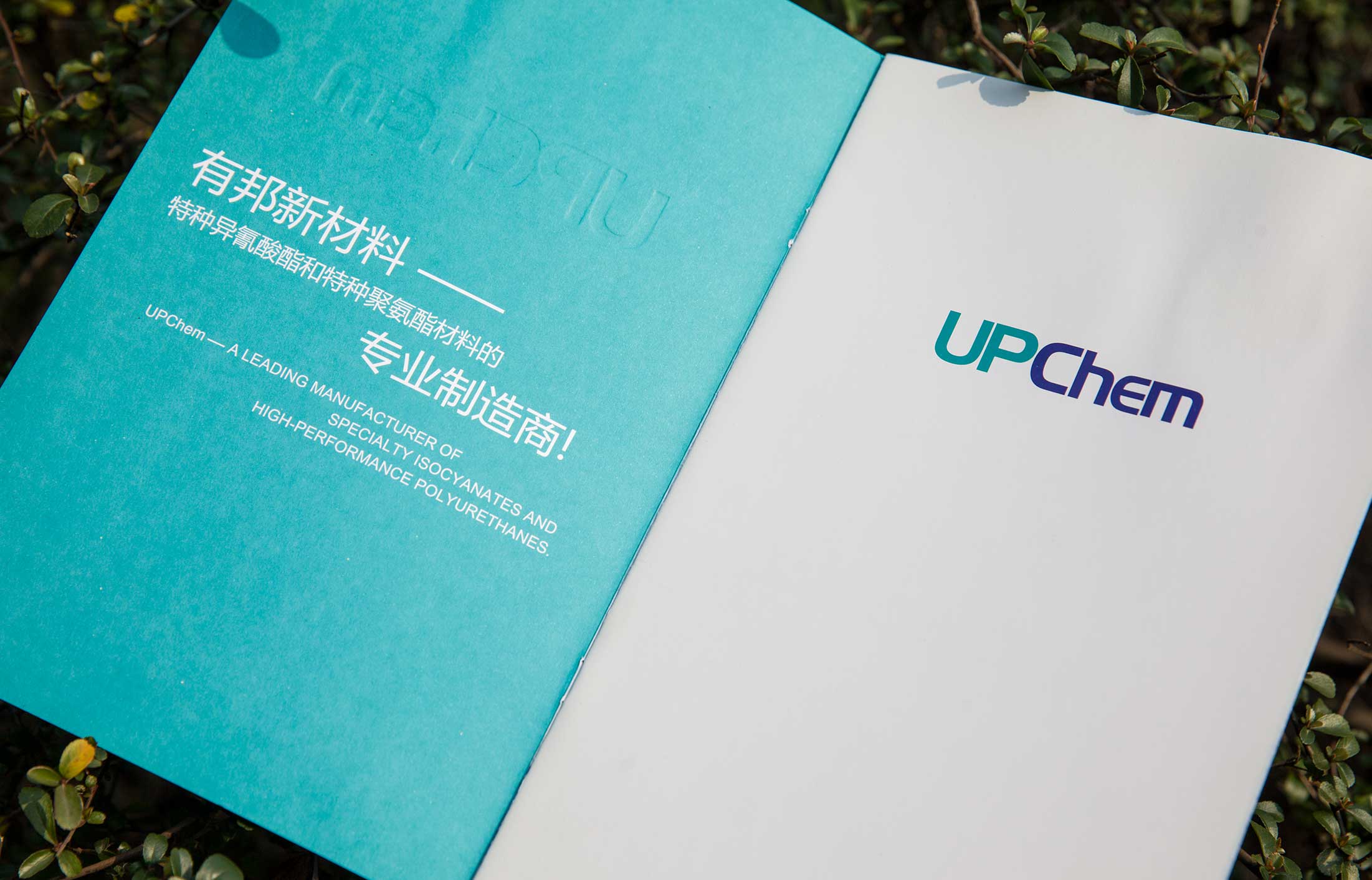 選營(yíng)銷(xiāo)策劃公司的標(biāo)準(zhǔn)