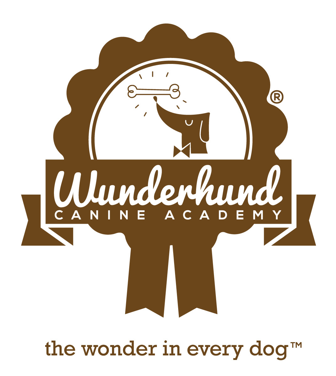 Wunderhund犬學(xué)會(huì)直郵活動(dòng)VI設(shè)計(jì)