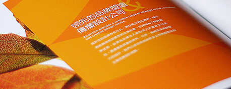 企業(yè)VI設計