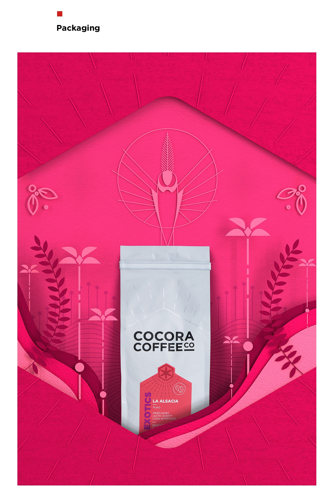 為一個(gè)咖啡杯，一個(gè)街角咖啡店，做整體的品牌包裝設(shè)計(jì)