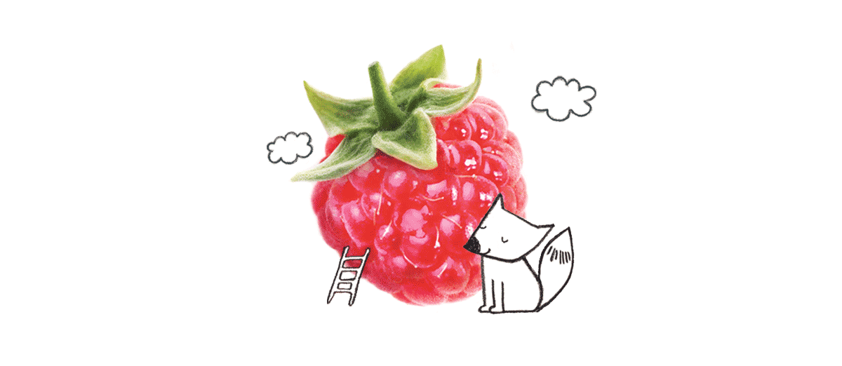 活潑的果醬，漿果包裝設(shè)計(jì)
